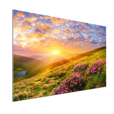 Pannello retrocucina con stampa 