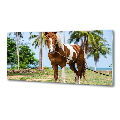 Pannello paraschizzi cucina con motivo a cavallo maculato