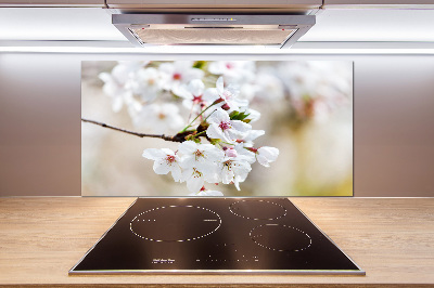 Pannello paraschizzi cucina con motivo a fiori di ciliegio