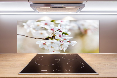 Pannello paraschizzi cucina con motivo a fiori di ciliegio