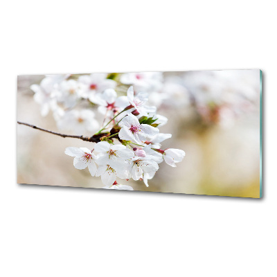 Pannello paraschizzi cucina con motivo a fiori di ciliegio