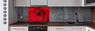 Rivestimento parete cucina con motivo Fiore di rosa