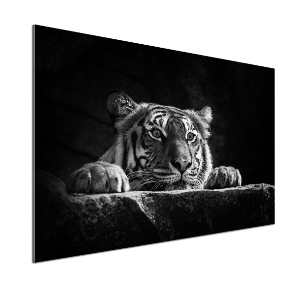 Rivestimento parete cucina con motivo a tigre