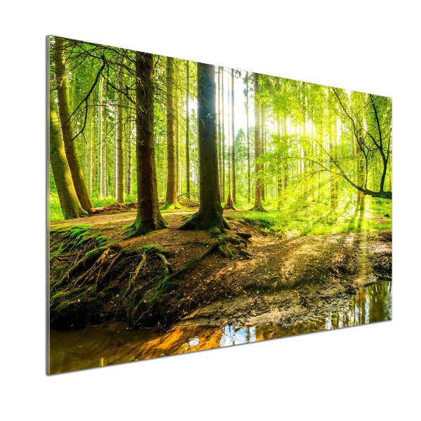 Rivestimento parete cucina con motivo «Raggi di sole nella foresta»