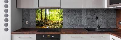 Rivestimento parete cucina con motivo «Raggi di sole nella foresta»