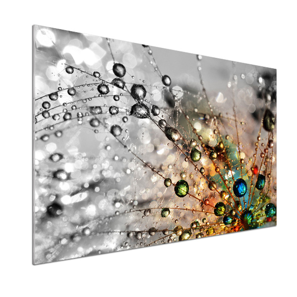 Rivestimento parete cucina con motivo a semi di tarassaco