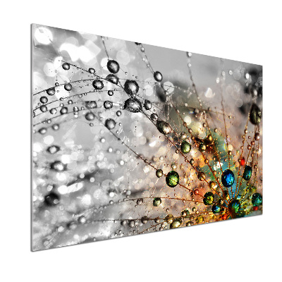 Rivestimento parete cucina con motivo a semi di tarassaco