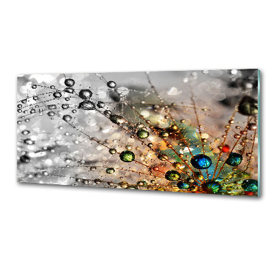 Rivestimento parete cucina con motivo a semi di tarassaco