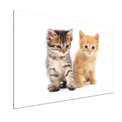 Pannello retrocucina con motivo gatto marrone e zenzero