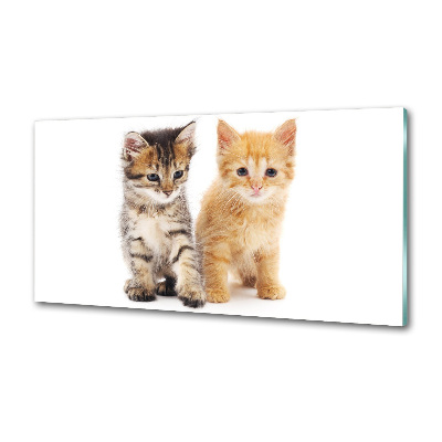 Pannello retrocucina con motivo gatto marrone e zenzero