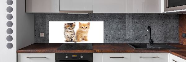 Pannello retrocucina con motivo gatto marrone e zenzero