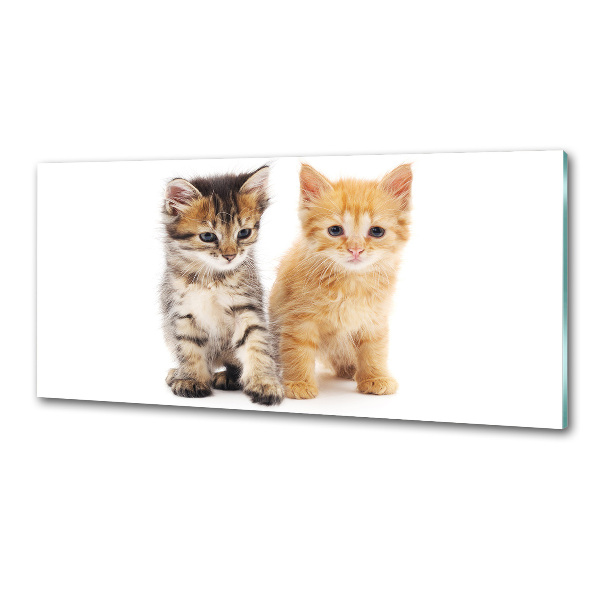 Pannello retrocucina con motivo gatto marrone e zenzero