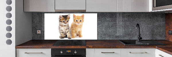 Pannello retrocucina con motivo gatto marrone e zenzero