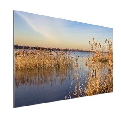 Rivestimento parete cucina con motivo a canna d'acqua