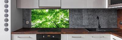 Rivestimento parete cucina con motivo Foresta verde