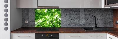 Rivestimento parete cucina con motivo Foresta verde