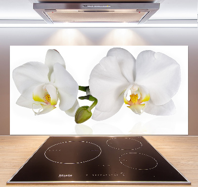 Pannello retrocucina con motivo orchidea