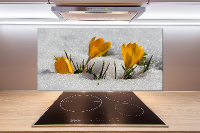 Pannello paraschizzi cucina con motivo 