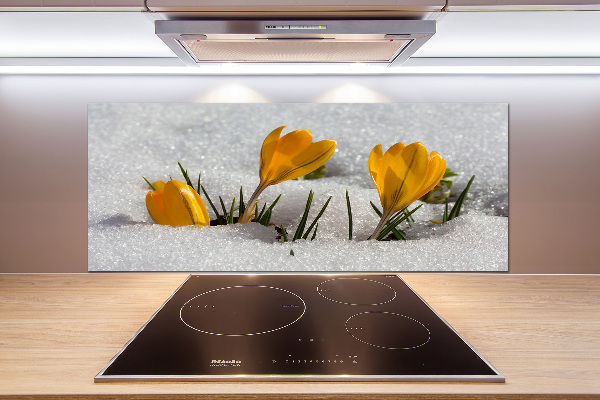 Pannello paraschizzi cucina con motivo 