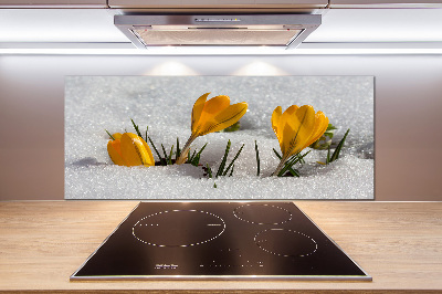 Pannello paraschizzi cucina con motivo 