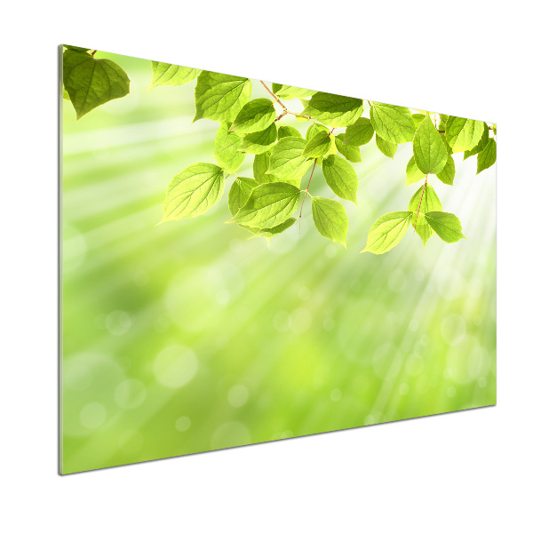 Rivestimento parete cucina con motivo a foglie