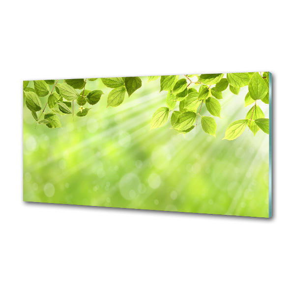 Rivestimento parete cucina con motivo a foglie