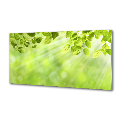 Rivestimento parete cucina con motivo a foglie