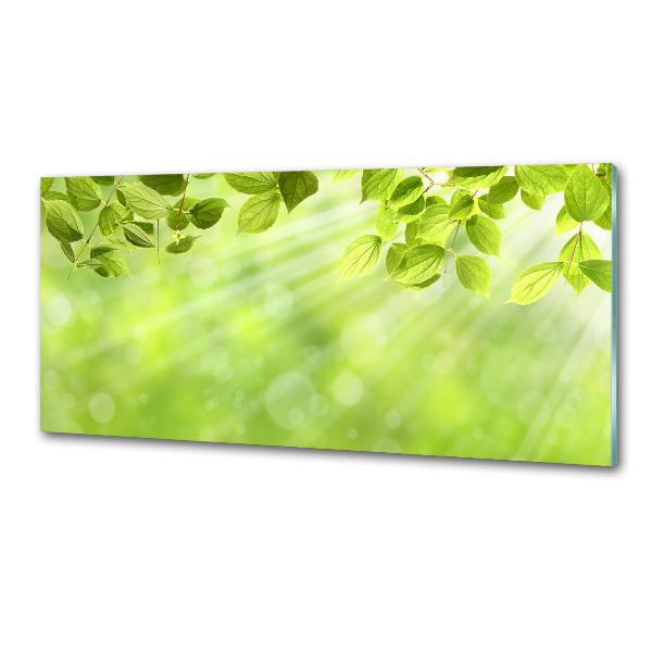 Rivestimento parete cucina con motivo a foglie