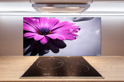 Pannello paraschizzi cucina con motivo Gerbera