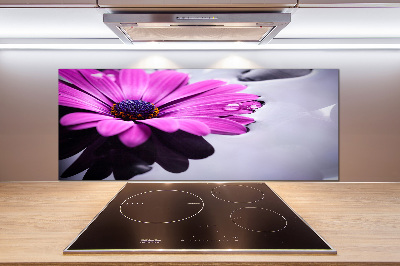 Pannello paraschizzi cucina con motivo Gerbera