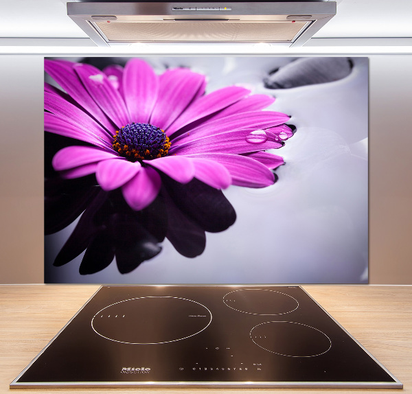 Pannello paraschizzi cucina con motivo Gerbera