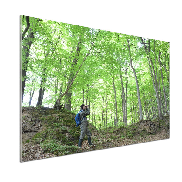 Pannello retrocucina con stampa «Ornitologo nella foresta»