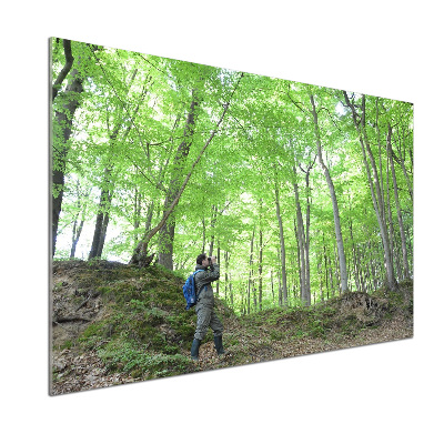 Pannello retrocucina con stampa «Ornitologo nella foresta»