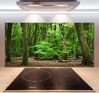 Rivestimento parete cucina con motivo Foresta olandese