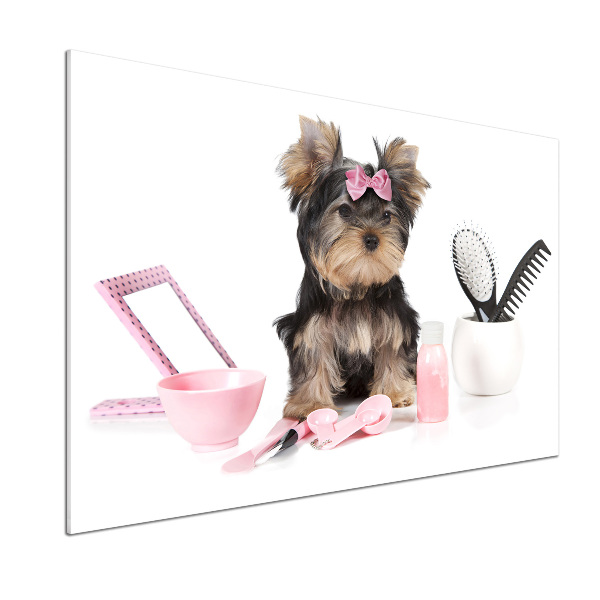 Pannello retrocucina con stampa a tema Cosmetici dello Yorkshire