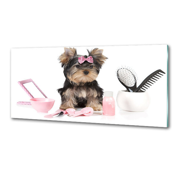 Pannello retrocucina con stampa a tema Cosmetici dello Yorkshire