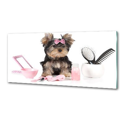 Pannello retrocucina con stampa a tema Cosmetici dello Yorkshire