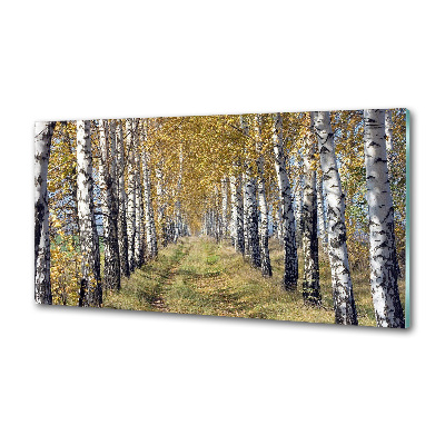 Pannello retrocucina con motivo Betulle in autunno