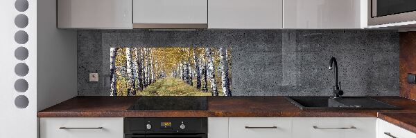Pannello retrocucina con motivo Betulle in autunno