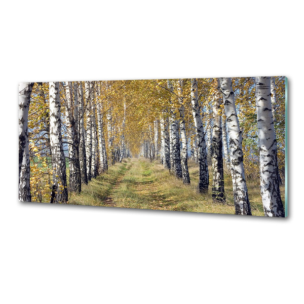 Pannello retrocucina con motivo Betulle in autunno