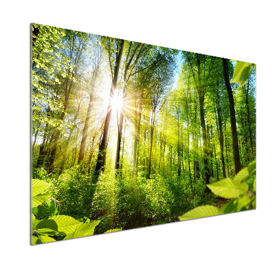 Rivestimento parete cucina con motivo 