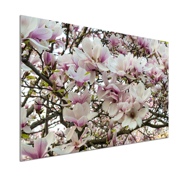 Rivestimento parete cucina con motivo fiori di magnolia