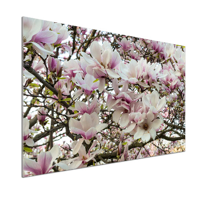 Rivestimento parete cucina con motivo fiori di magnolia