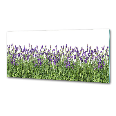 Pannello retrocucina con motivo di fiori di lavanda
