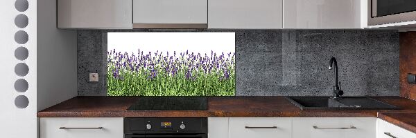 Pannello retrocucina con motivo di fiori di lavanda