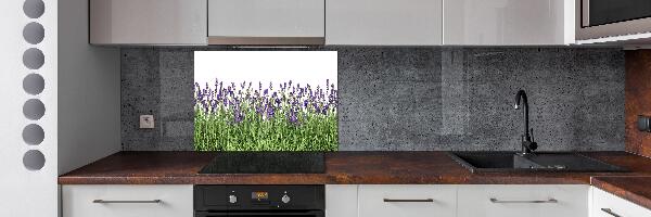 Pannello retrocucina con motivo di fiori di lavanda