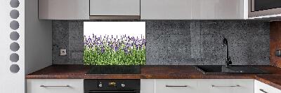 Pannello retrocucina con motivo di fiori di lavanda