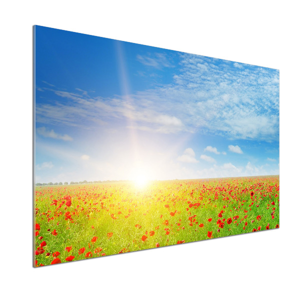 Rivestimento parete cucina con motivo di campi di papaveri