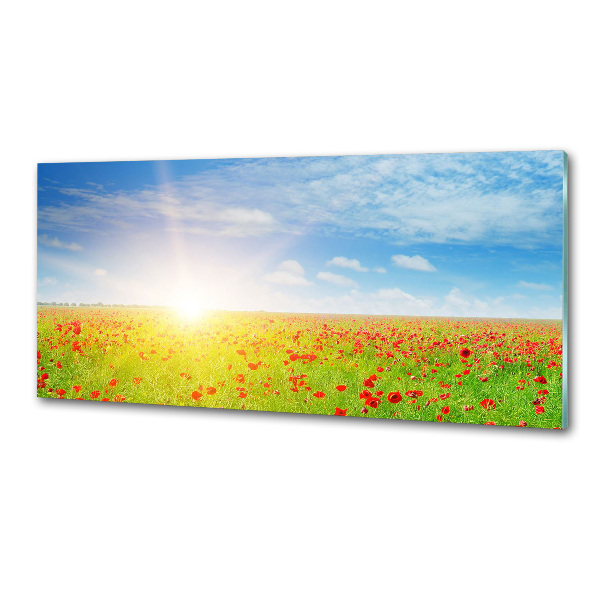 Rivestimento parete cucina con motivo di campi di papaveri