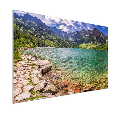 Rivestimento parete cucina con motivo 